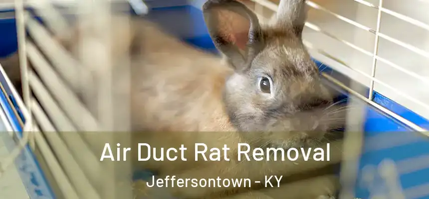 Air Duct Rat Removal Jeffersontown - KY