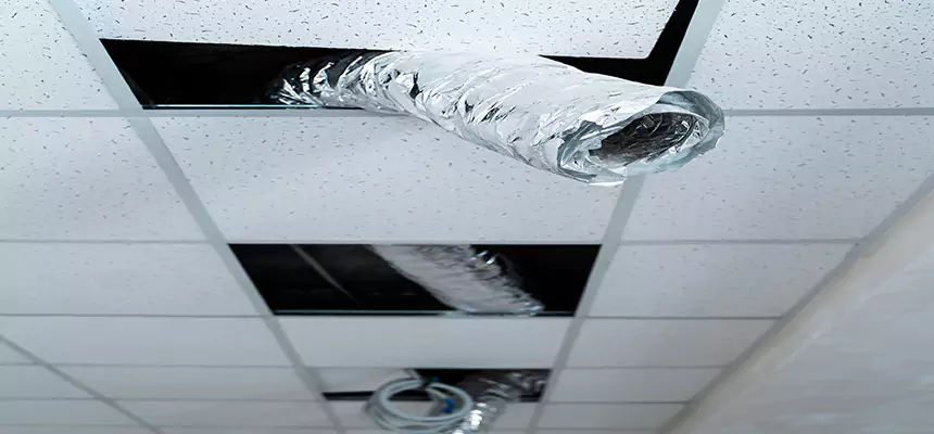 Affordable HVAC Sanitizing After Pest Removal in Jeffersontown