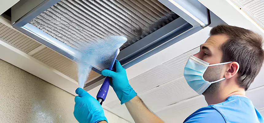 Proactive Dryer Vent & Auxiliary Duct Pollen Cleanup in Jeffersontown, KY