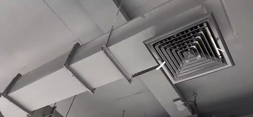 Our Pest Removal From Ducts Services in Jeffersontown, KY