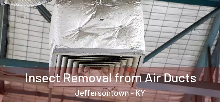  Insect Removal from Air Ducts Jeffersontown - KY