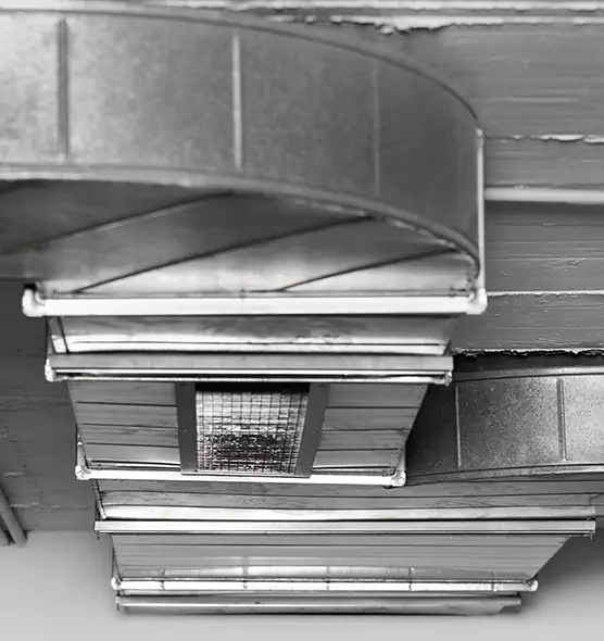 Professional Air Duct Pest Removal in Jeffersontown, KY