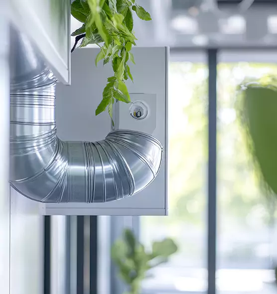 Professional Eco-Safe Dryer Vent Cleaning in Jeffersontown, KY