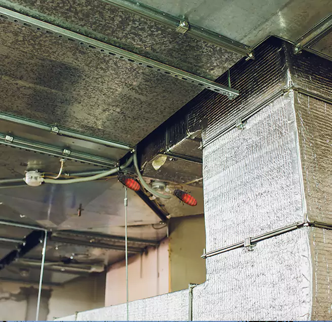 Why Homeowners & Businesses Trust Us in Jeffersontown, KY?