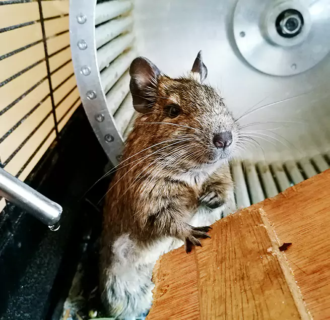 Why Homeowners & Businesses Trust Us Jeffersontown, KY